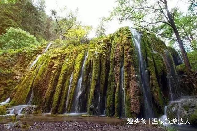 博主:辽宁沈阳城市股改取得极大进展,队名基本确定“东北虎”
