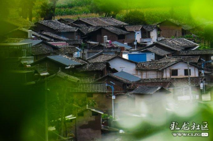 福莱纳找车轮