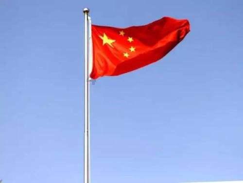 植物大战僵尸17