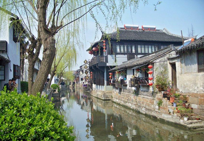 时尚小鸡救援